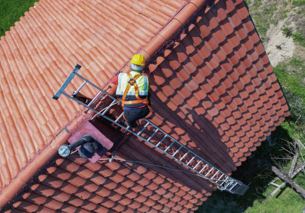 Best Roof Moss and Algae Removal  in Merton, WI